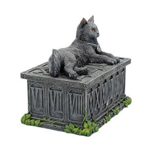 Load image into Gallery viewer, Fortune's Watcher Cat Familiar Tarot Box 17cm