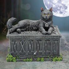 Load image into Gallery viewer, Fortune's Watcher Cat Familiar Tarot Box 17cm