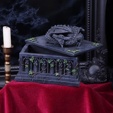 Load image into Gallery viewer, Dragon Ivy Tarot Card Holder Box 18 cm