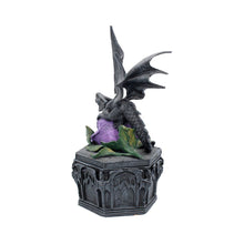 Load image into Gallery viewer, Dragon Beauty Box 25cm Anne Stokes