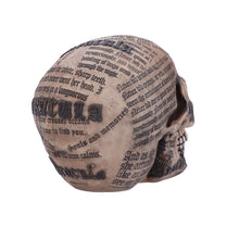 Load image into Gallery viewer, Dracula's Tale Vampire Novel Quote Skull 18.5cm