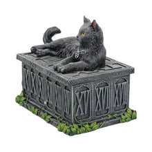 Load image into Gallery viewer, Fortune&#39;s Watcher Cat Familiar Tarot Box 17cm
