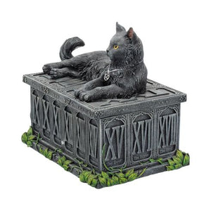 Fortune's Watcher Cat Familiar Tarot Box 17cm