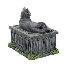 Load image into Gallery viewer, Fortune&#39;s Watcher Cat Familiar Tarot Box 17cm
