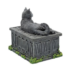 Fortune's Watcher Cat Familiar Tarot Box 17cm