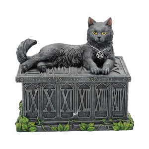 Fortune's Watcher Cat Familiar Tarot Box 17cm