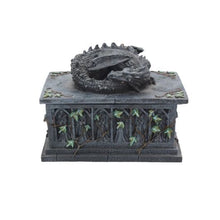 Load image into Gallery viewer, Dragon Ivy Tarot Card Holder Box 18 cm
